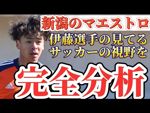 アルビレックス新潟・伊藤涼太郎選手❕新潟のマエストロ・伊藤選手の見てるサッカーの視野を完全分析❕❕