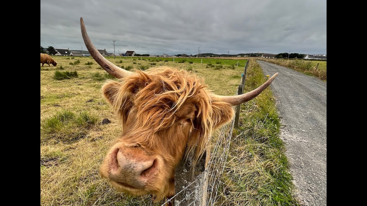 Handa Island Scotland and Mispronouncing USA Tool Names: Snap On, Craftsman, Proto, and Black+Decker