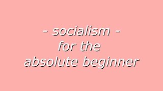 Socialism for the Absolute Beginner