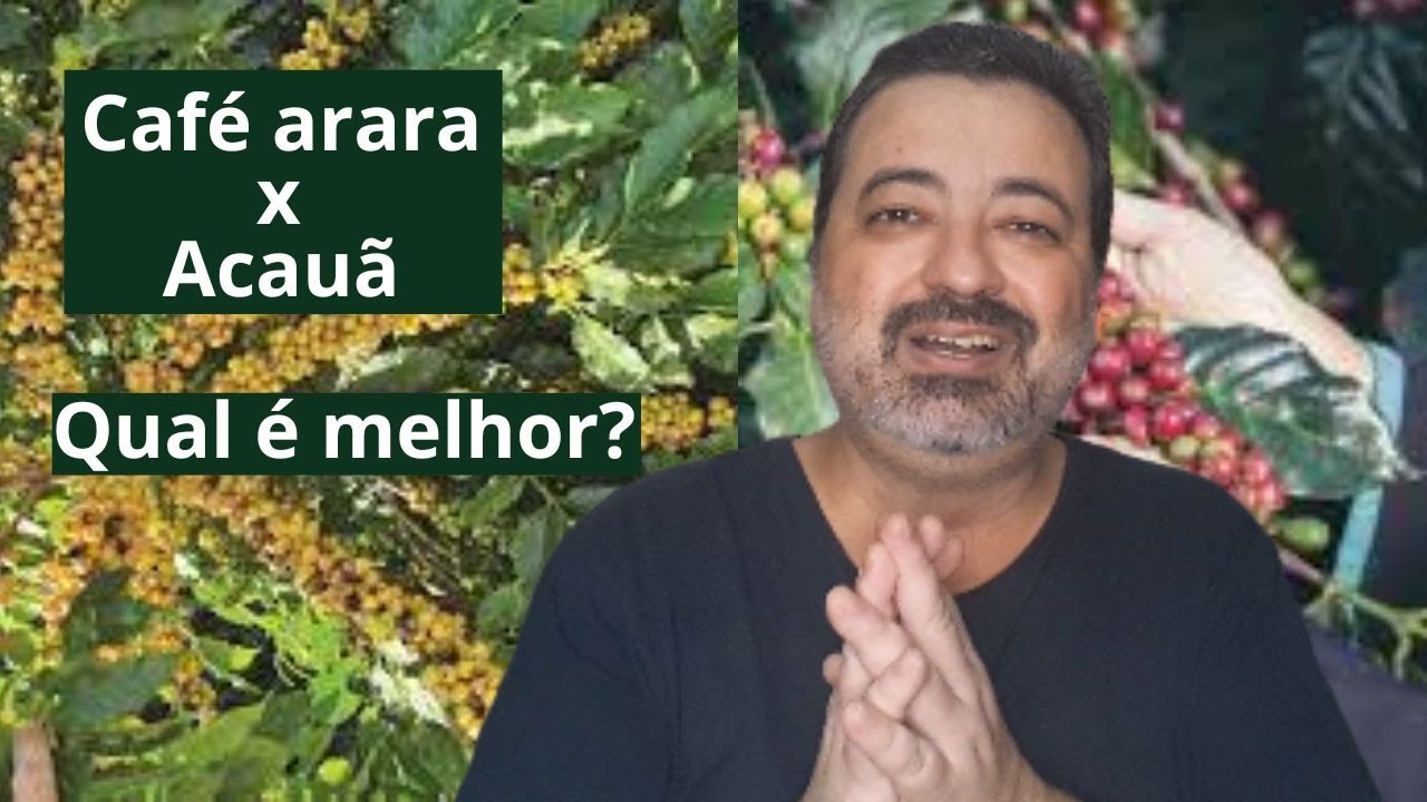 Descubra se o café acauã é páreo para enfrentar o café arara.