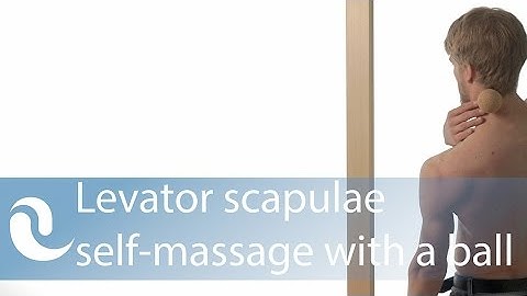 Levator scapulae myofascial self-release with a ball