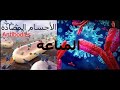 شرح الاجسام المضادة فصل المناعة الصف الثالث الثانوي ميولوجي Maiology 