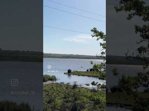 آسیب پذیربودن نقطه ضعف ما نیست واقعیت ماست دکتر مجتبی شکوری