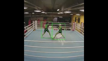 Data Annotation for Pose Estimation | Combat Sports | Wisepl | #datalabeling #dataannotation