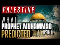 Palestine | What Prophet Muhammad (saw) Predicted About Current State Of Muslims [Must Watch]