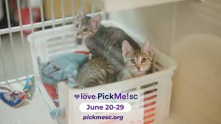 2025 PETCO LOVE PICK ME SC PEEDEE