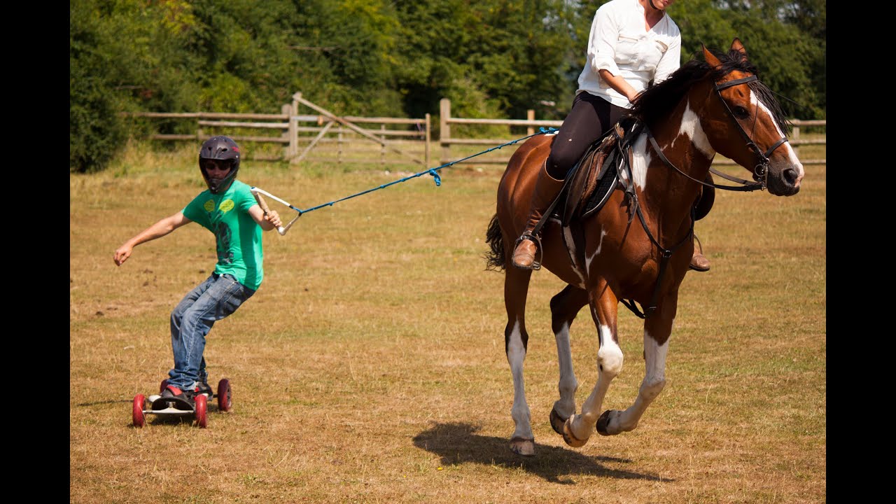 Learning Horse Boarding July 2013 8th Day Adventure YouTube
