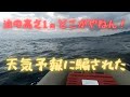 頑張れ！ゴムボ2馬力！何かのお告げか！？