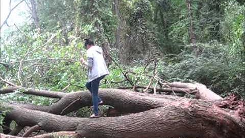 LMFAO - Party Rock Anthem ft. Lauren Bennett, GoonRock - Shuffle Mania