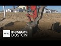 Massachusetts community hopes to repair beach erosion and more top stories