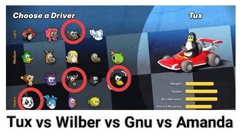 Best Kart?!? Tux vs Wilber vs Gnu vs Amanda || Super Tux Kart || Infinity Cat