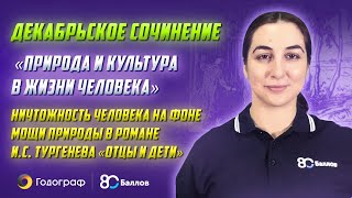 &quot;Природа и культура в жизни человека&quot;. Разбор романа Тургенева &quot;Отцы и дети&quot; в итоговом сочинении