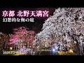 【京都・梅開花速報2026】北野天満宮7分咲き｜見頃を迎えた昼と夜の「花の庭」