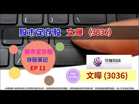 文曄 (3036)，股市定存股-存股筆記EP 11