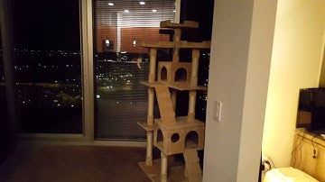 Home automation with Amazon Echo