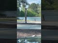 After work stroll in the park #park #water #lake #driving #automobile