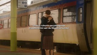 The Walters- I Love You So Türkçe Çeviri