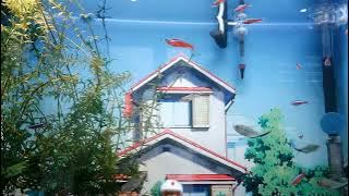 The Little Fish House - Guera Encantadora - Casa Rosa