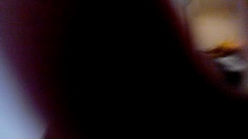 The following document Microsoft Windows XP on the death