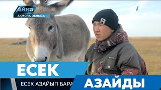 видео: ЕСЕК АЗАЙДЫ картинка: ЕСЕК АЗАЙДЫ