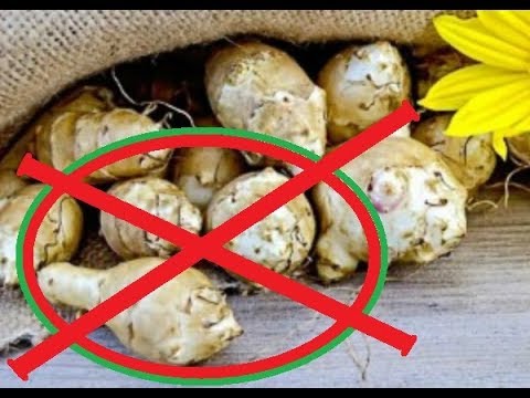 Не ешьте его больше: он вызывает рак