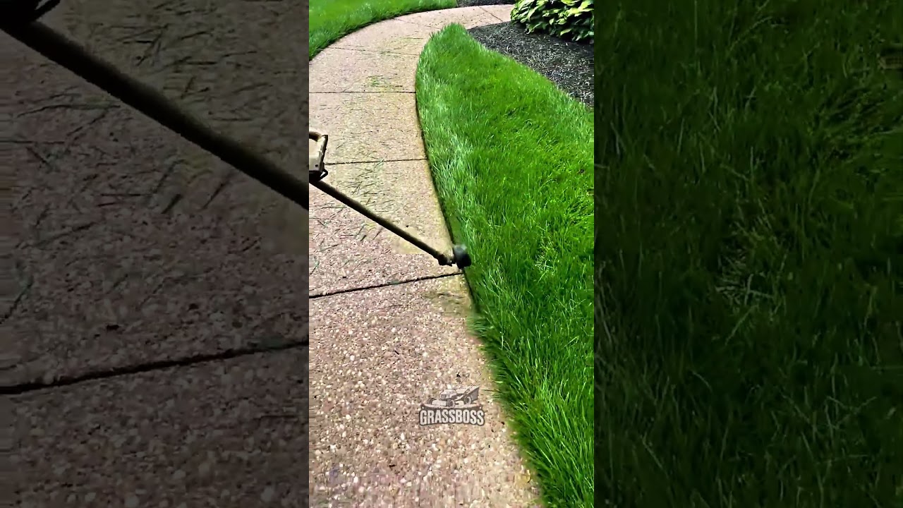 Crisp Sidewalk Lawn Borders and Sharp Grass Edges for Fresh Look ✨ | 