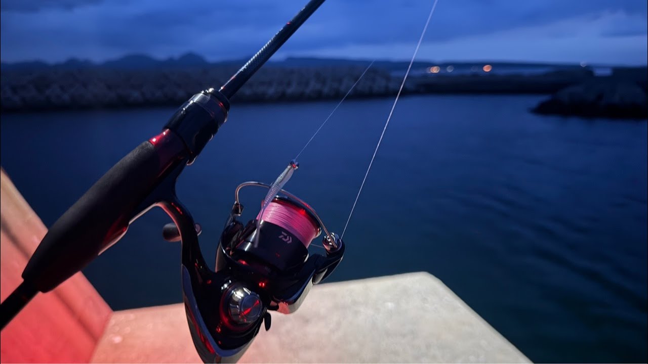 Rockfish] I have 2GB of data left. - YouTube