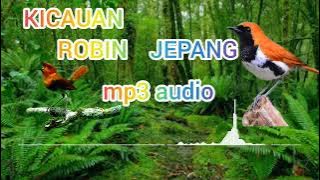 MASTERAN ROBIN JEPANG GACOR MP3 AUDIO JERNIH