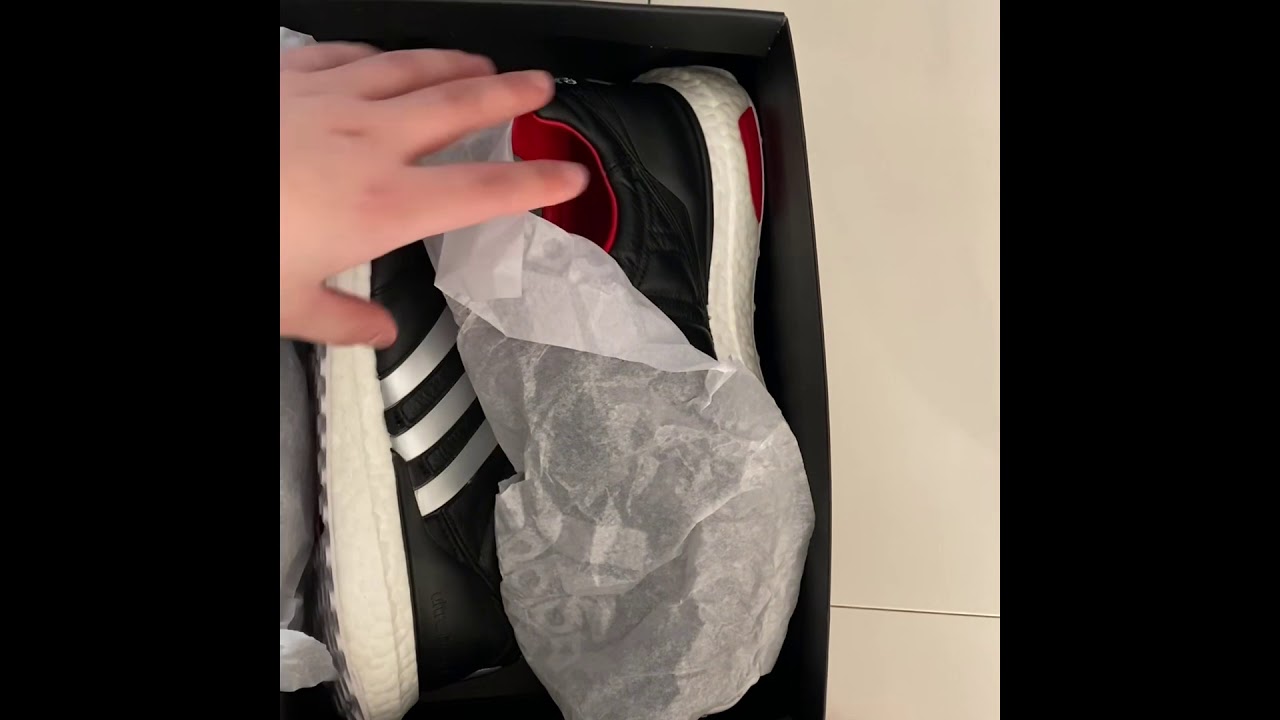 Predator mania tr 2019