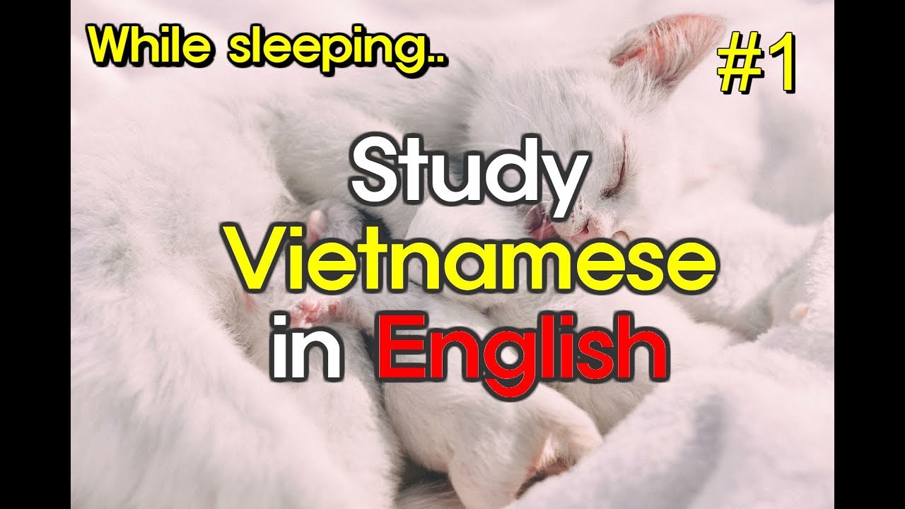 Study Vietnamese in English while Sleeping (8 hours) Part 1 Useful