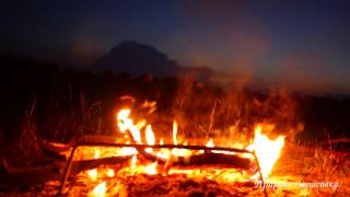 FIREWOOD BURNING, Crackling Fire in Nature | LISTENING TO THE SOUNDS OF NATURE and THE SOUND OF FIRE