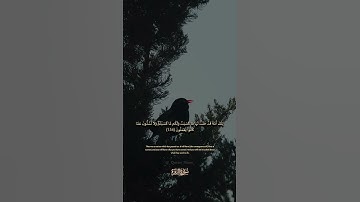 134 سورة البقرة: التلاوة المعبرة مع الترجمة الإنجليزية