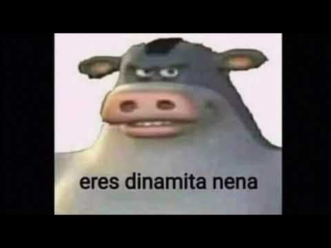 eres dinamita nena