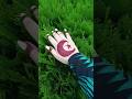 Happy Independence Day #14august #independenceday #shorts