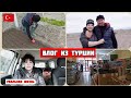 Влог из Турции/выходной у мужа/почему нет людей🤷/повышения цен🙄/в огород/сколько надо саженцев 😁