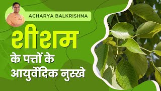 शीशम के पत्तों के आयुर्वेदिक नुस्खे || Acharya Balkrishna ||