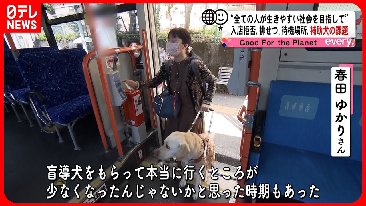 盲導犬 入 店 拒否