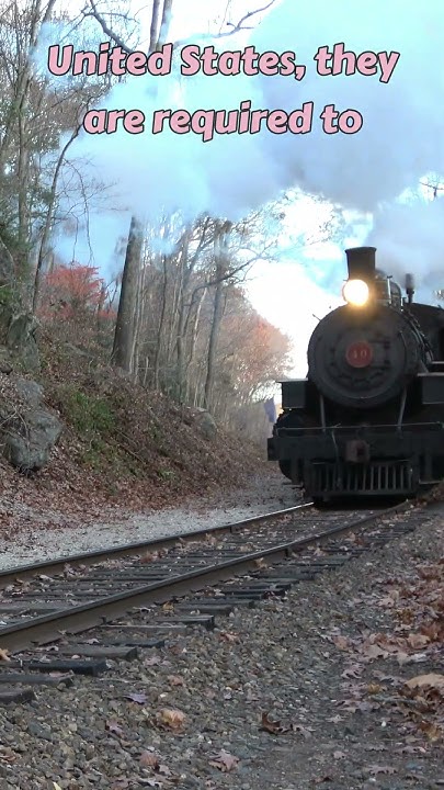 Why Do Trains Honk Their Horns So Much? - YouTube
