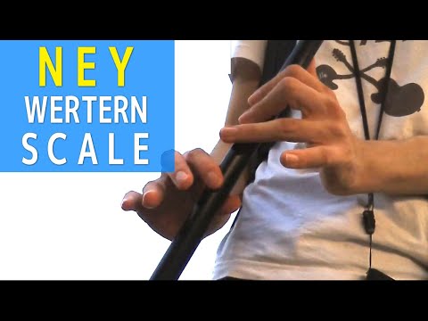 Ney Nay Flute -Western scale- アラブの笛ネイ(ナイ)で西洋の