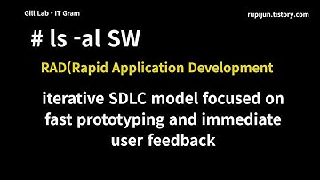 #SW 0007 - RAD(Rapid Application Development): Speed and Quality in Action