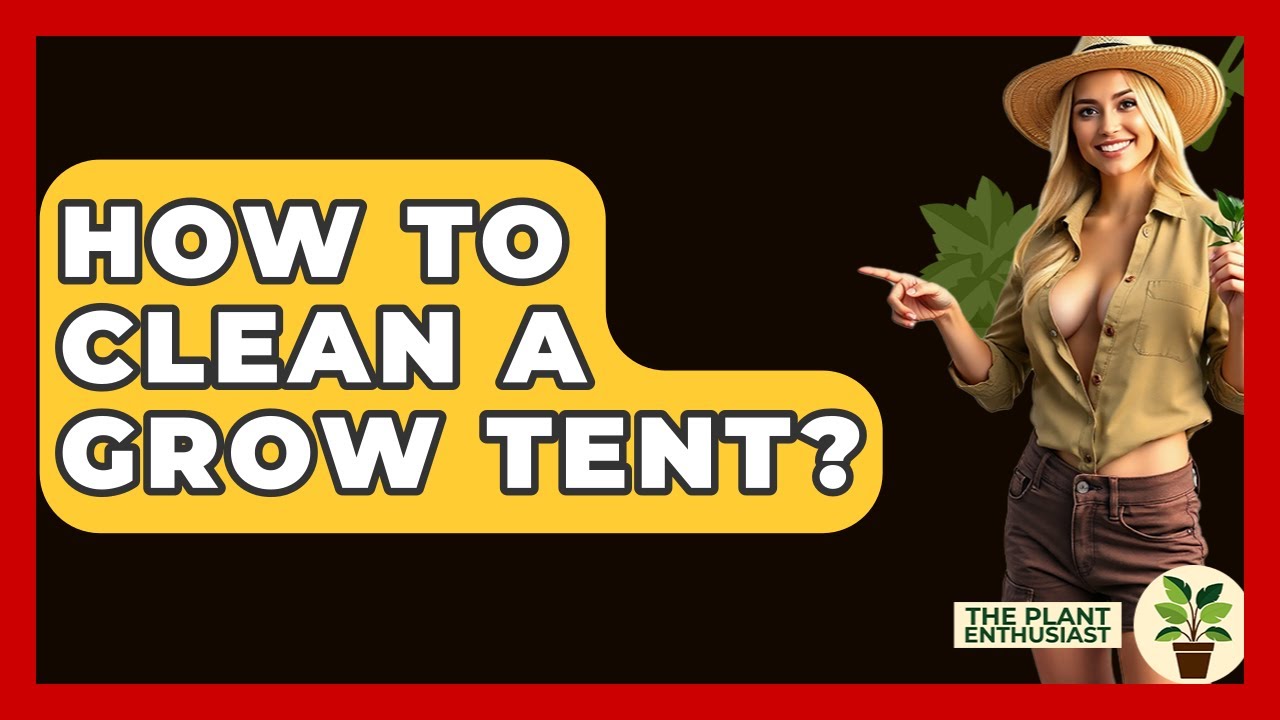 How To Clean A Grow Tent? - The Plant Enthusiast