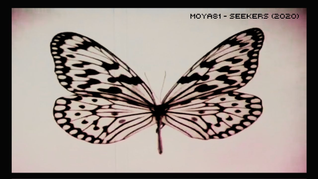 MOYA81 Seekers (2020) adlı videoyu YouTube'da izle MOYA81 Seekers (2020) adlı videoyu YouTube'da izle