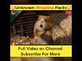 Volvo Company Hamster Stunt | #shorts #youtubeshorts #facts #factsinhindi #amazingfacts