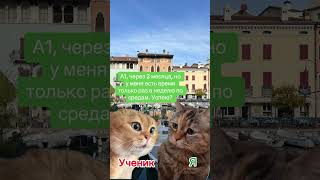 Было такое?  #learnitalian #мем #мемы