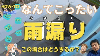 こんなところ雨漏りだって、応急処置でゴムスプレー補修。一時しのぎではありますが、原因が経年劣化では火災保険も補助金もないので、修理費用は自腹です。