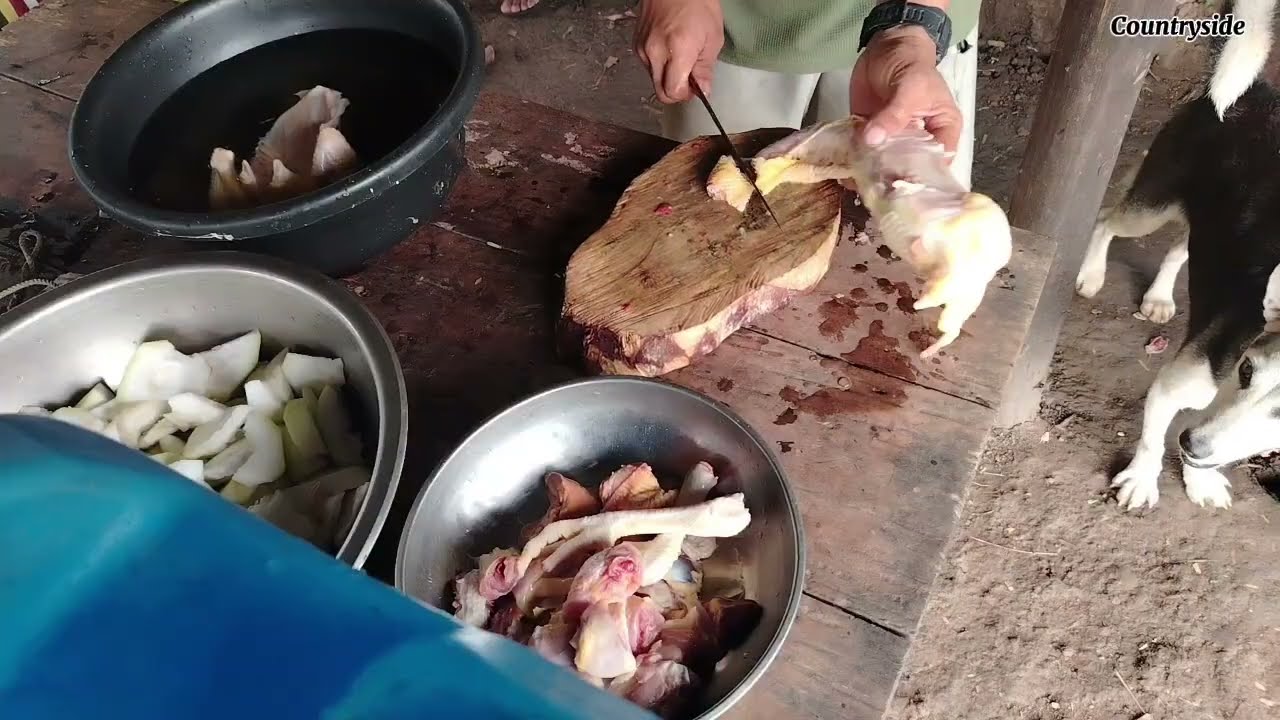 Life in the province | Pag tatanim ng niyog I At pag luluto ng karning manok I
