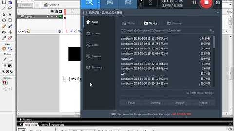 kuis tebak warna di macromedia flash 8