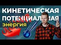 Кинетическая и потенциальная энергия. Подготовка к ЕГЭ по Физике. Николай Ньютон. Техноскул