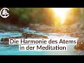 Meditieren lernen - Die Harmonie des Atems in der Meditation