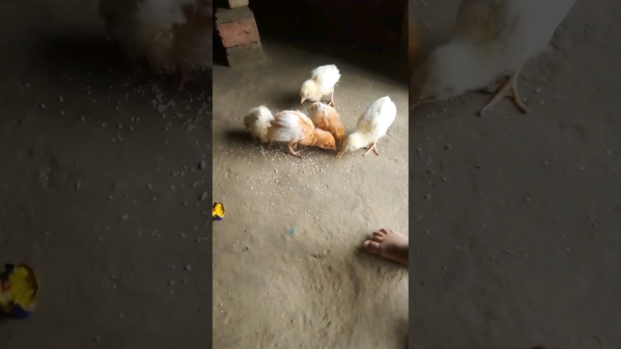 ghare ham lavti rati rati 